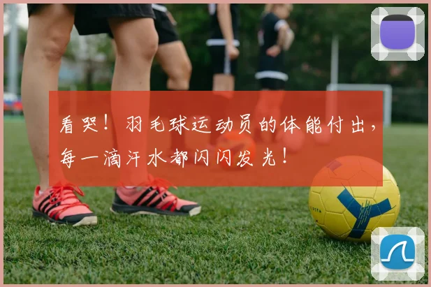 看哭！羽毛球运动员的体能付出，每一滴汗水都闪闪发光！