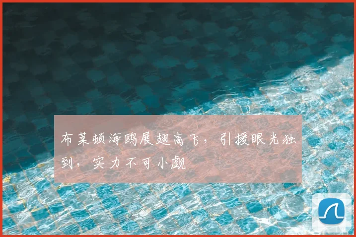 布莱顿海鸥展翅高飞,引援眼光独到,实力不可小觑